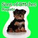 Sons of B*tches Magnet Set