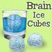 Brain Ice Cubes