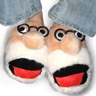 Freudian Slippers