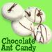 Chocolate Covered Ants