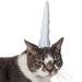Unicorn Horn for Cats